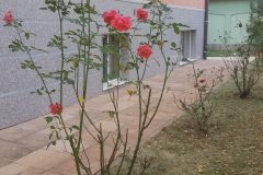 20181018_143451